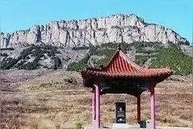 济南长清马山，用植物“写出”标语图片