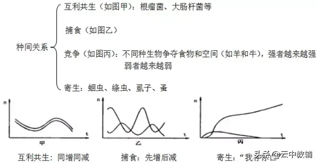 高中生物必修三知识点总结