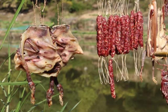 秋风吻尽银杏叶，艳遇醉美帽子峰