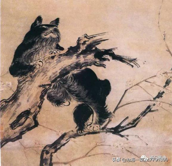 古代鬼故事民间大全,盘点中国的猫妖传说十二则 - 冷思维