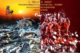 是这个理丨鱼虾泼泼初出网图片