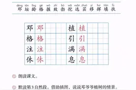 「微课堂」统编语文二年级下册第4课《邓小平爷爷植树》图片