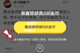 金币越来越少是什么原因，在此先了解为什么你可以获取金币吧图片