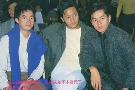 癫王蔡枫华与张国荣的二三事图片