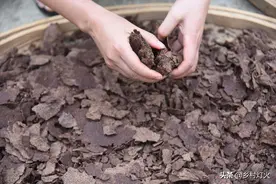 油企回收农民榨油剩下的油饼做什么？油饼抵加工费划算吗？图片