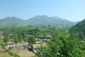 我所经历的那个年代（连载一）图片