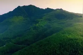 体验打卡｜梁平明月山·百里竹海图片