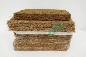 这些家中常见的东西，原来是隐藏的甲醛源头图片