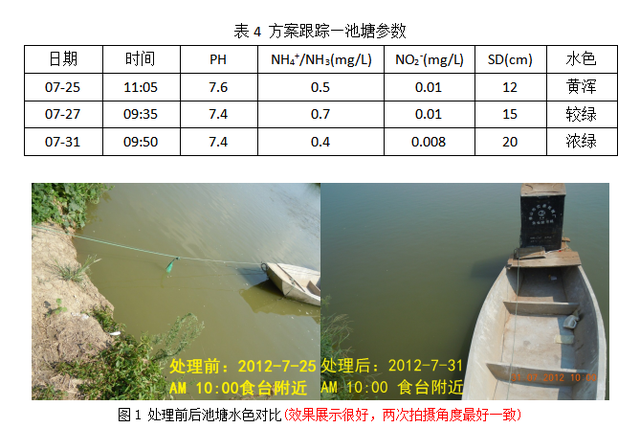 经典的浑瘦水治理方案分析－－芽孢杆菌+氨基酸+水产专用磷肥