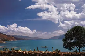 坚持保护与开发并重 | 程海湖上的生物多样性保护企业实践图片