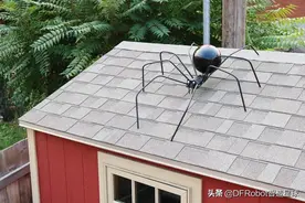 如何制作一个巨大的万圣节蜘蛛图片