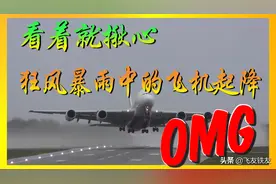 看着就揪心—狂风暴雨中飞机起降！图片