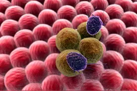 抗癌“神药”面世：可杀死多种癌细胞，还不脱发！将进行人体实验图片