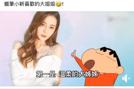 破次元壁！饭制表情包被蜡笔小新翻牌，迪丽热巴追星成功图片