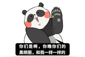 文化不同，中西方神话为何都有“龙”？打起来中国龙能赢吗？图片