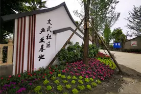 200亩樱桃，上百个务工机会！双流黄水多元化促进群众增收图片