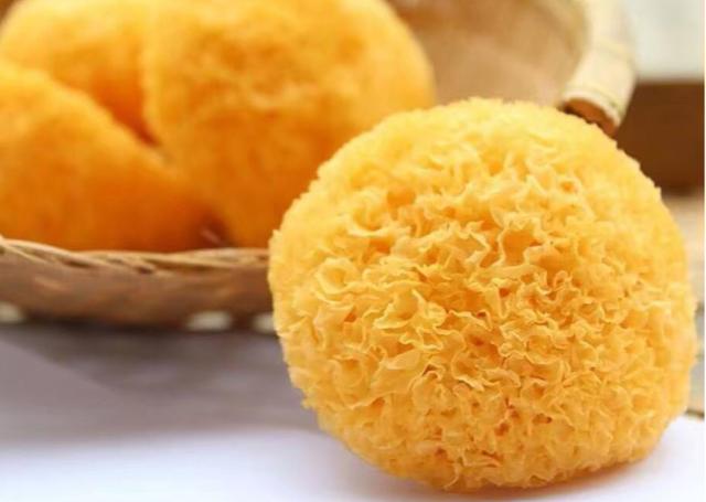 怀孕吃银耳和燕窝的区别 2026年怀孕吃银耳和燕窝的区别在哪