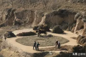 在陕北插队时当地后生多次向她求爱，弟弟搬来救兵为姐姐解围图片