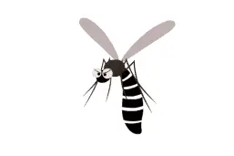 女子用蚊香驱蚊，入睡后大便失禁、差点没命！蚊香这样用相当于“投毒”图片