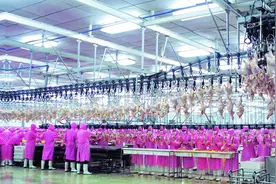 中国食品名城—吉林德惠图片