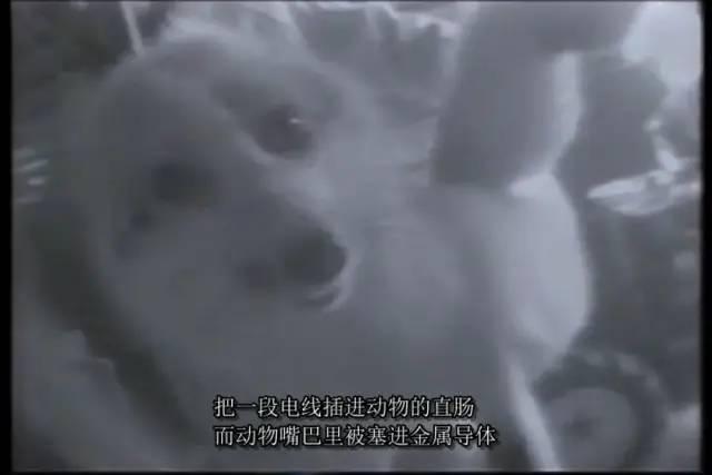 疯了，为了推荐这部电影，他绑架了13个人