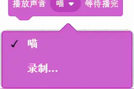 使用简易图形化编程工具Scratch（声音积木）图片