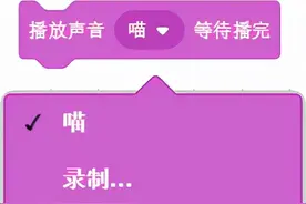 使用简易图形化编程工具Scratch（声音积木）图片