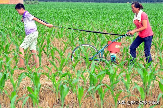 鍚屾牱鏄爱鑲ワ紝灏跨礌銆佺⒊閾点€佹隘鍖栭摰銆佺閰搁摰绛夊浣曟纭寫閫変笌浣跨敤锛? onerror=