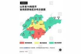 山东省16地级市食用煎饼地区分布指南图片