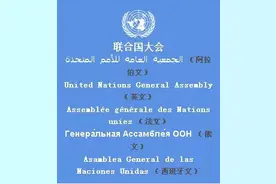 联合国的六种工作语言是什么？它们的存在说明了什么问题？图片