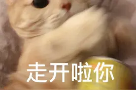 斗图必备表情包图片