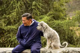 人老了就会被子女嫌弃、讨厌？父母面对这种“厌恶”该怎么做？图片