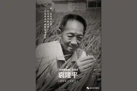 粳米、籼米、糯米，稻米不仅是生命之源，更是珍贵的一味药图片