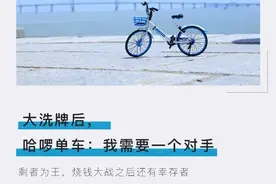 大洗牌后，哈啰单车：我需要一个对手图片
