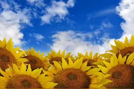【论典微读诵】《大智度论》  龙树菩萨造 卷第四十二图片