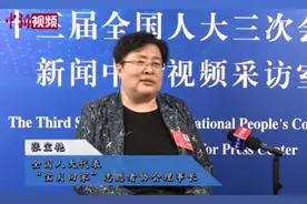 全国人大代表、宝贝回家发起人张宝艳：34万志愿者的团圆之路图片