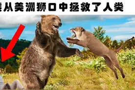 罕见的动物行为：以特别的方式，拯救了人类生命的11种动物图片