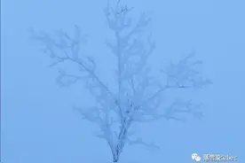 这一生最美好的场景就是遇见你图片
