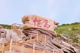 大连附近有座“蛇岛”，岛上数万条毒蛇，怕水的它们哪来的？图片
