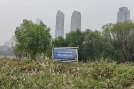 “AI鹰眼”守护长江鱼群图片