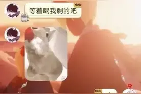 逗图聊天记录！！！直女聊天有多优秀？看完之后承包了一年笑点图片