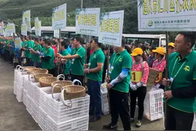 采笋、剥笋，这个比赛充满丰收的喜悦图片