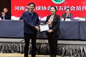 河南足协完成“脱钩”改革，“美女老总”杨楠当选新会长图片