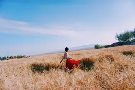 如何过一天，就如何过一生图片