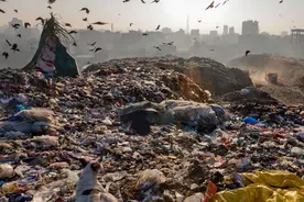 印度“专业回收”洋垃圾，首都附近垃圾山到达百米图片