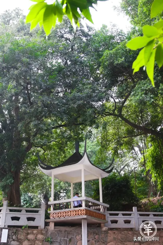 去长洲岛，带你看诗和远方
