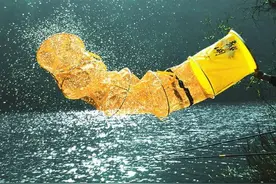 提前下鱼护导致渔获惨淡之谜，被渔具店老板诠释了，分享给大家图片