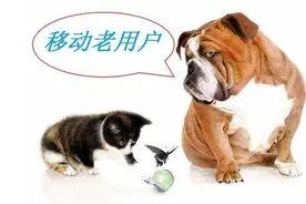 移动“尾号收费”，每月针对不同尾号扣除月租，难道又一套路？图片