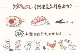 怀孕到底能不能养猫？科学认识勿弃养！图片