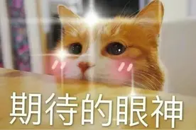 半岛叨叨丨什么？！青岛人血液里流的是啤酒？看揭秘！建议阅读时间：喝完一袋扎啤图片